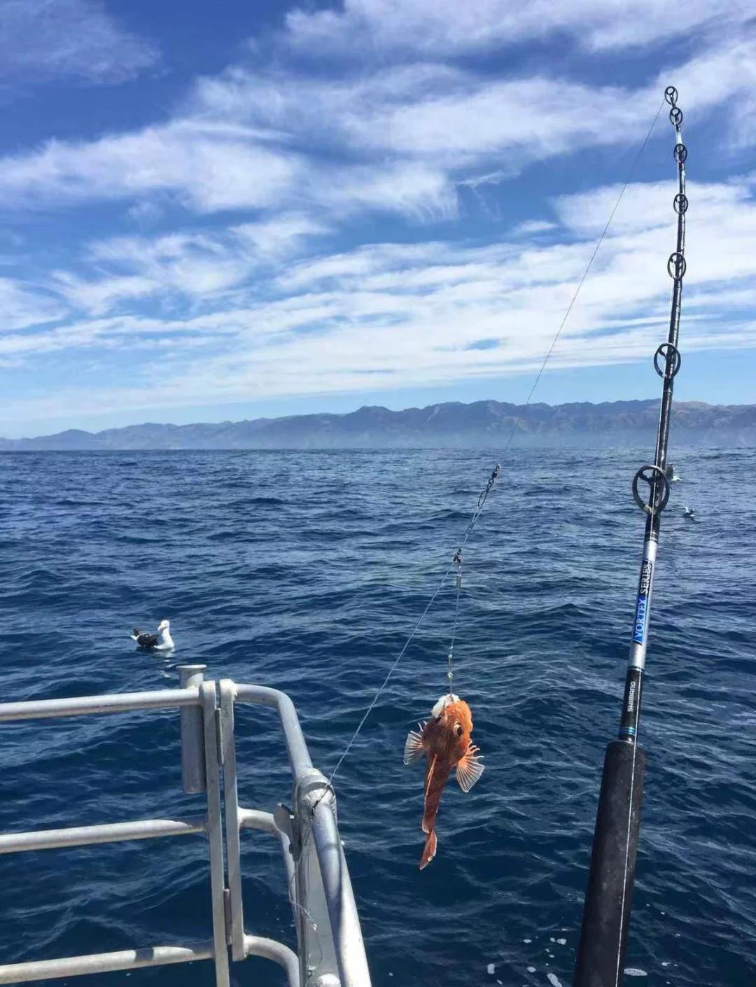 盐城海钓地方(盐城海边钓鱼)