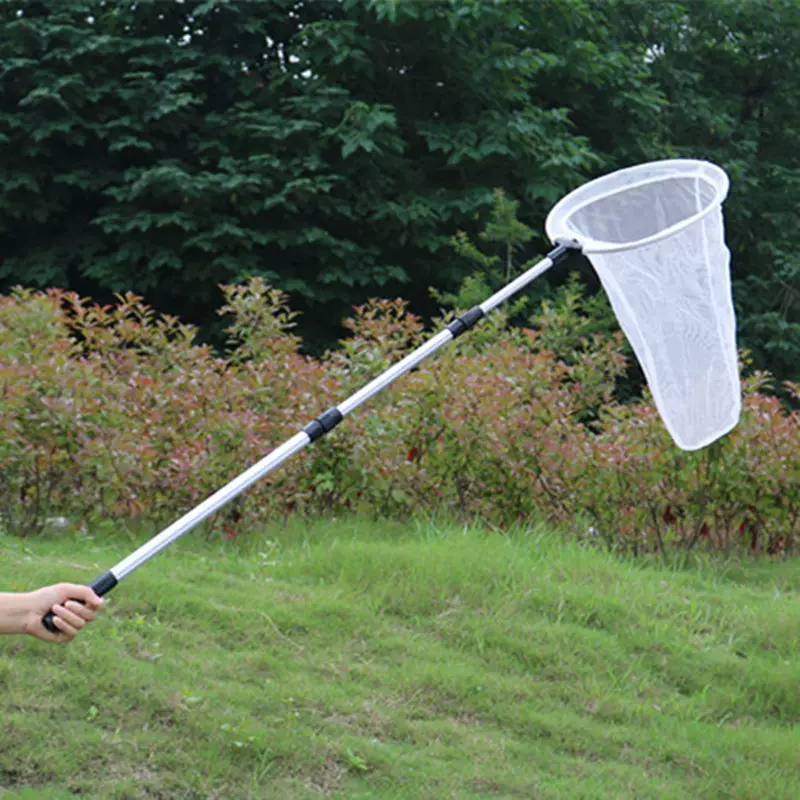 折叠鱼网抓鱼饵料(折叠捕鱼网操作视频)