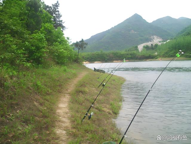深秋水库打窝技巧(深秋水库钓鱼用什么饵料)