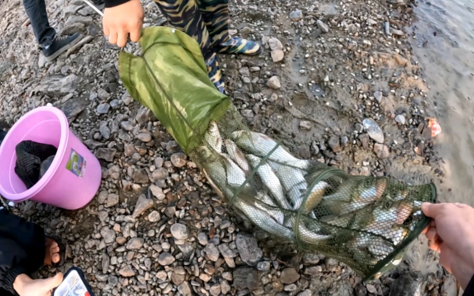 黑坑钓截口技巧(黑坑钓鱼取钩技巧)