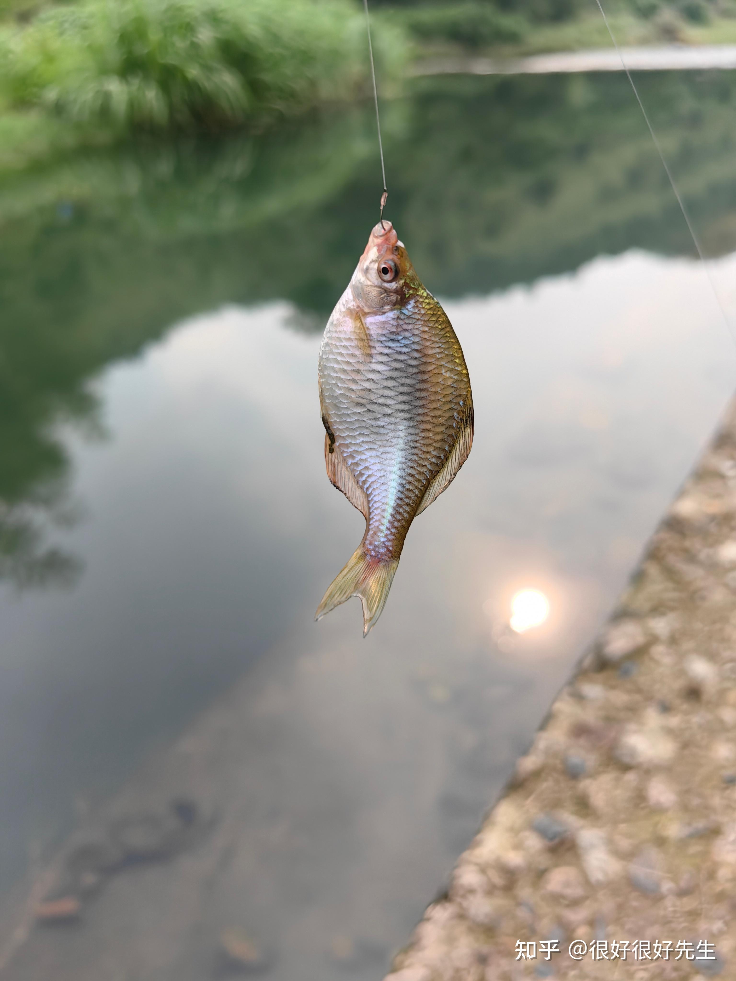 鸭淀水库钓大鱼技巧(水库钓大鱼的4个技巧)
