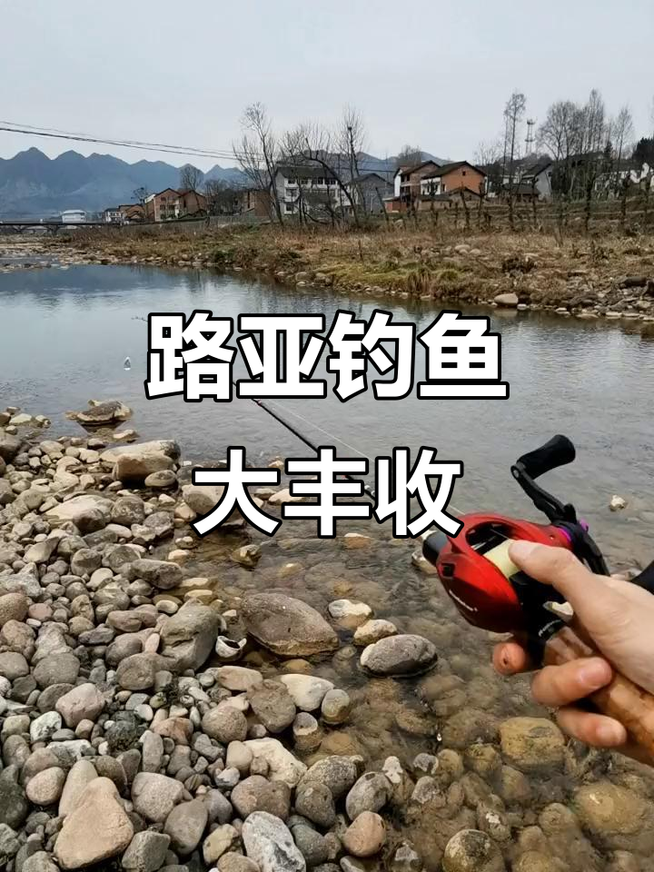 绍兴路亚钓鱼地点(绍兴路亚鱼种)