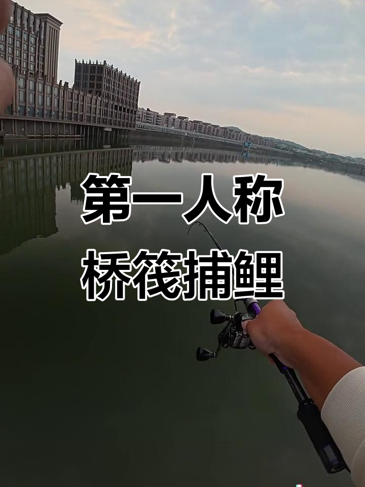 飞鲤鱼技巧(钓鲤鱼飞铅钓法视频)