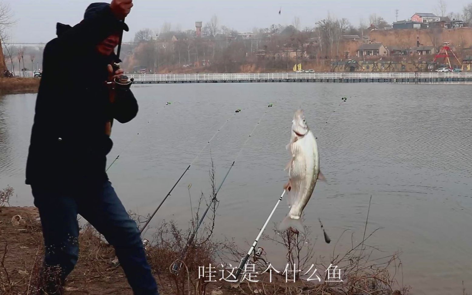野水库钓鲫鱼技巧视频(野水库钓鲫鱼技巧视频教程) 野水库钓鲫鱼技巧视频(野水库钓鲫鱼技巧视频教程)
