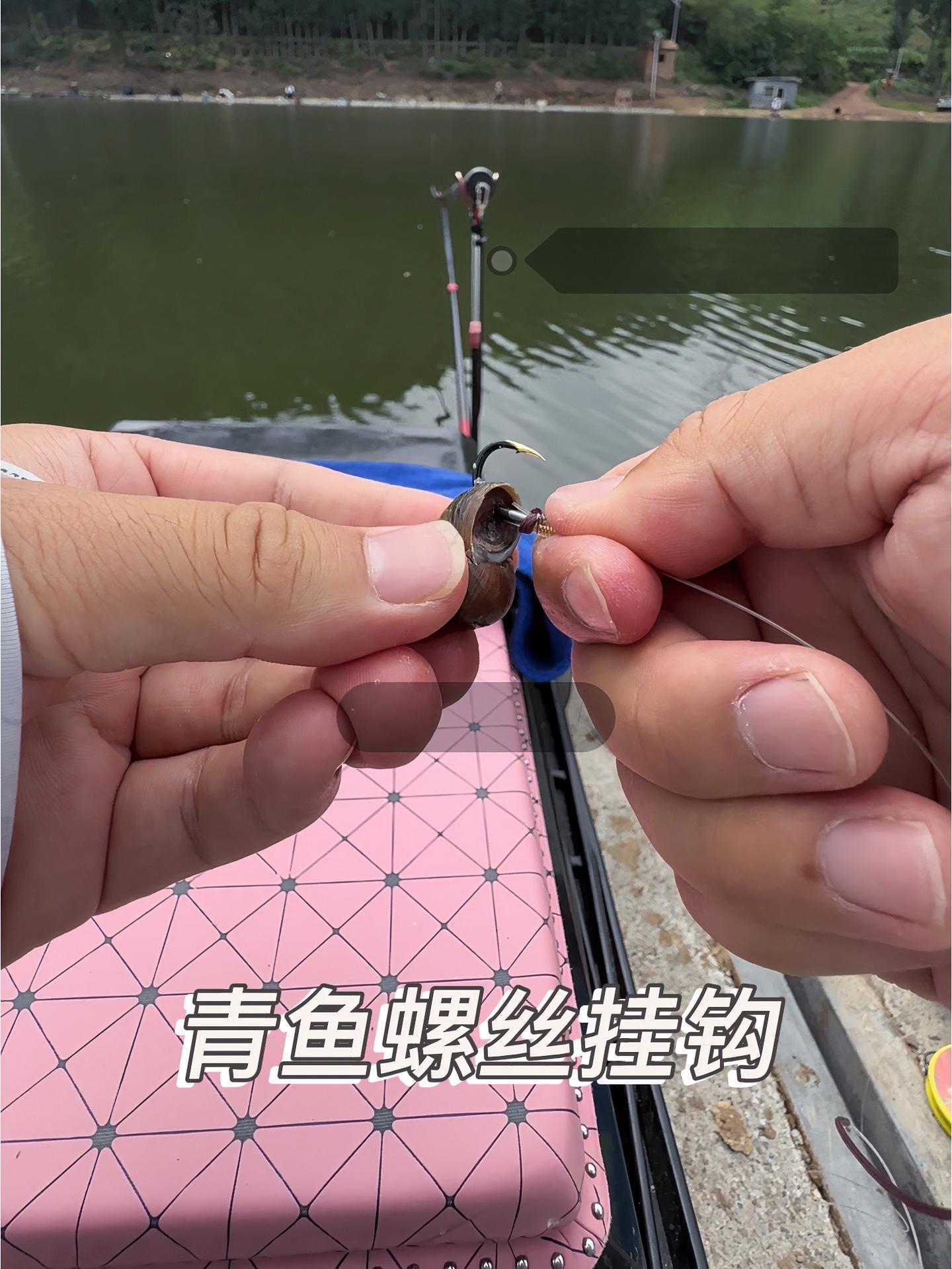 春季湖泊手竿钓青鱼技巧(手竿钓青鱼线组搭配)