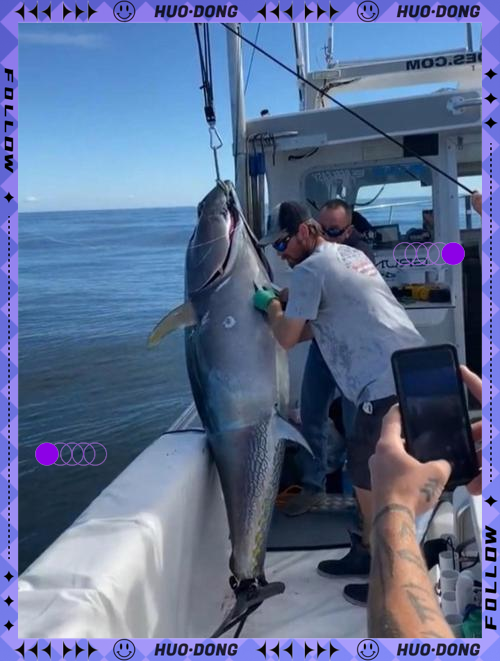 美国海钓(美国海钓最好的地方)