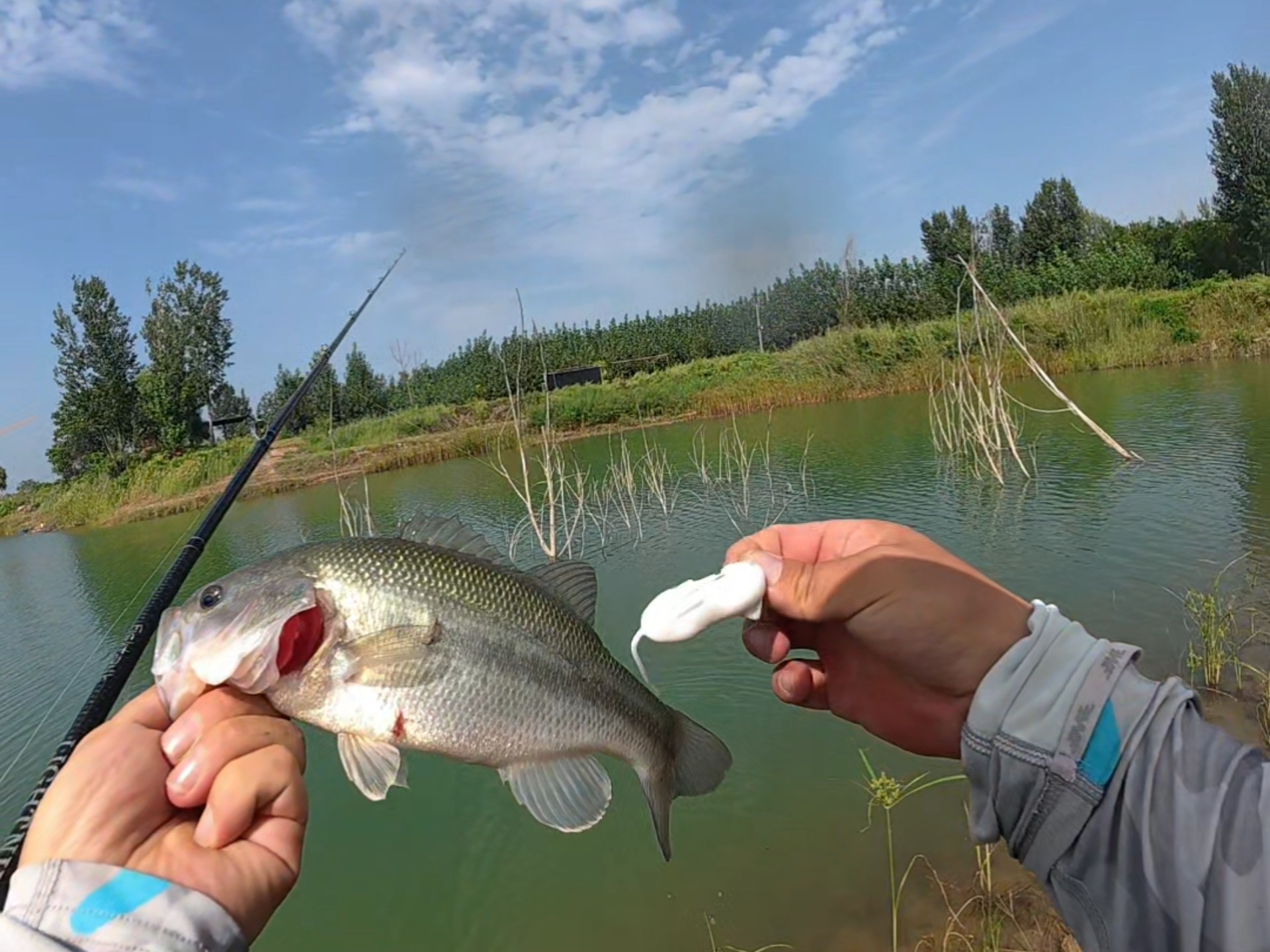 逆风路亚鲈鱼(路亚鲈鱼钓底还是钓浮)
