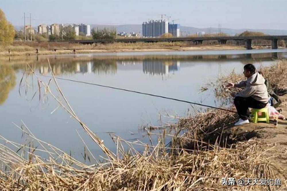 秋季钓藕塘技巧(秋天怎么在藕塘钓鱼) 秋季钓藕塘技巧(秋天怎么在藕塘钓鱼)