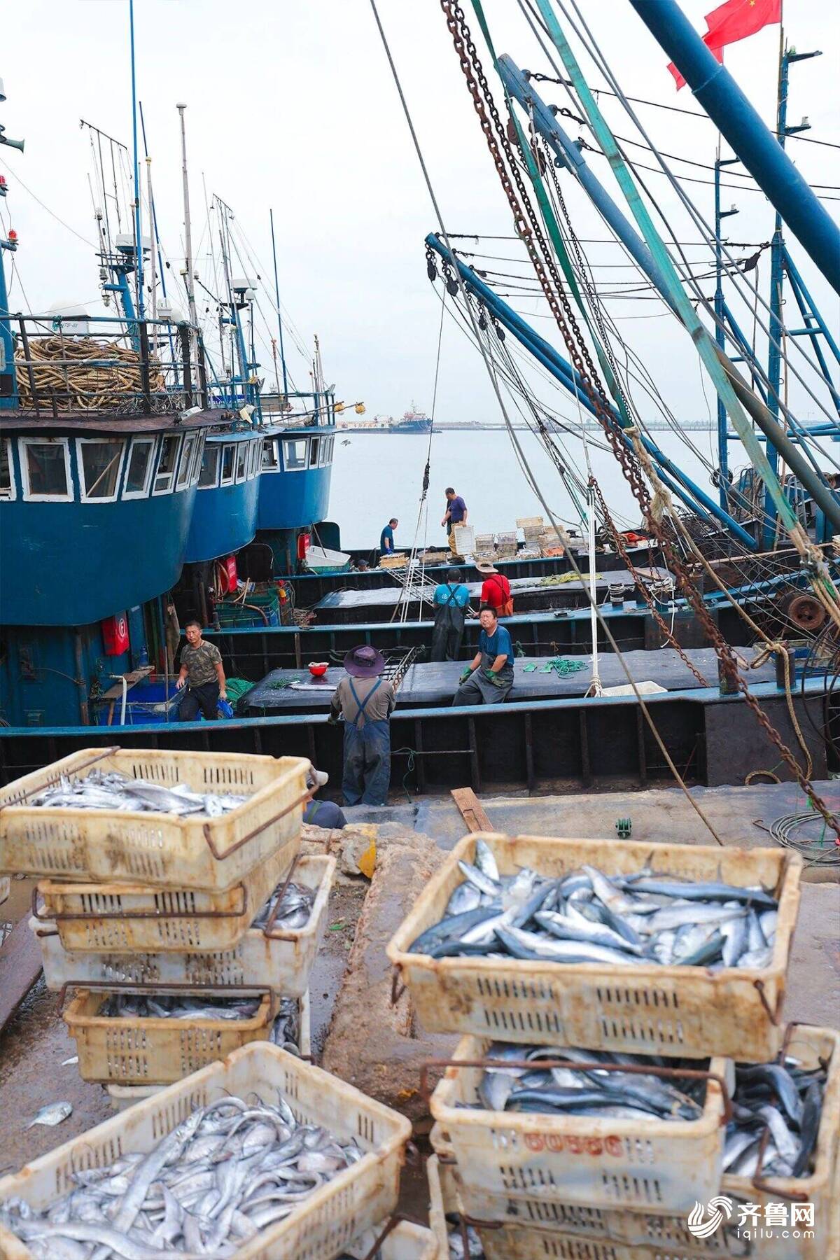 平阳适合海钓的码头(平阳出海捕鱼的地方)