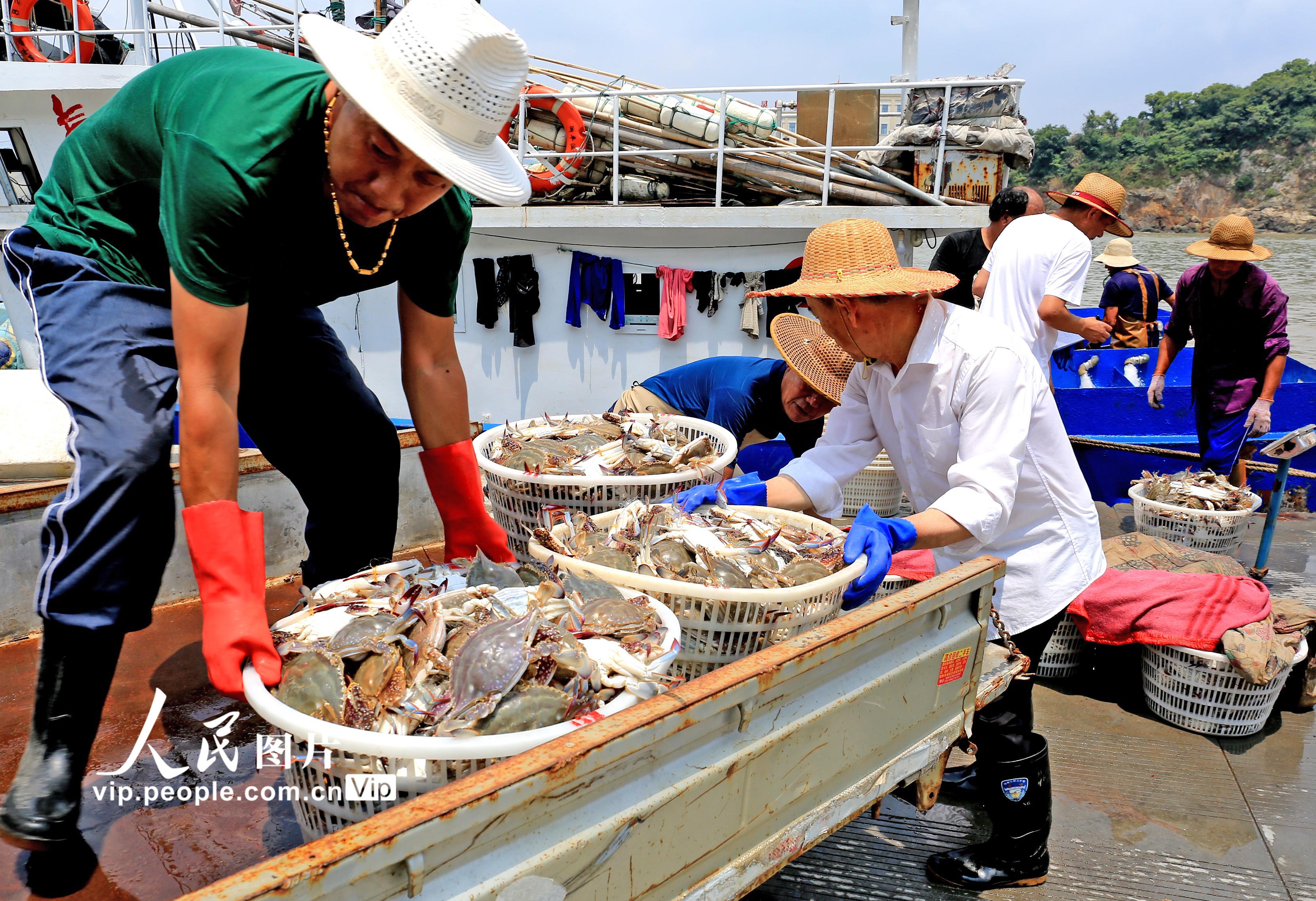 杨村运河渔具(杨村运河渔具店地址)