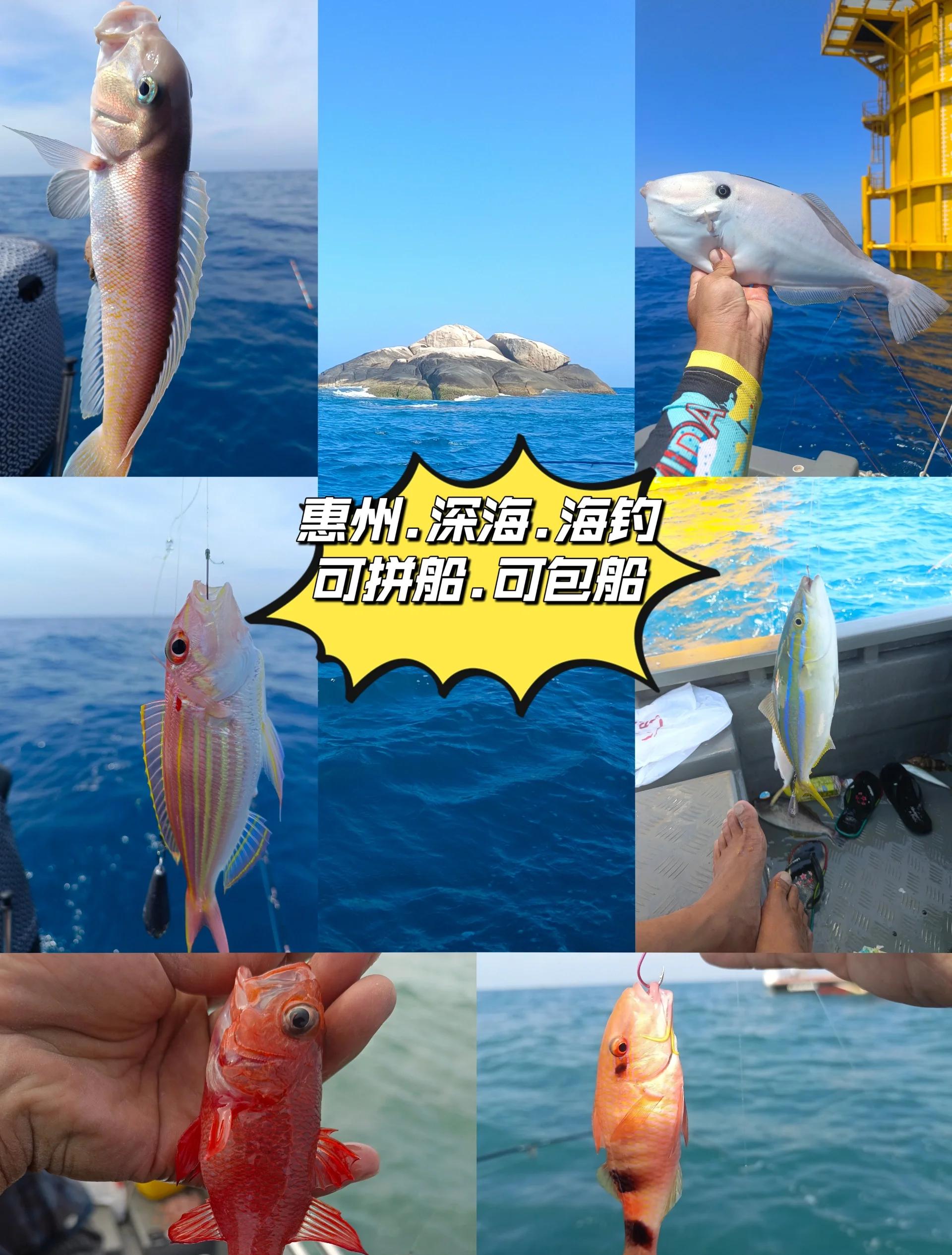 小洋山海钓地点(小洋山海边)