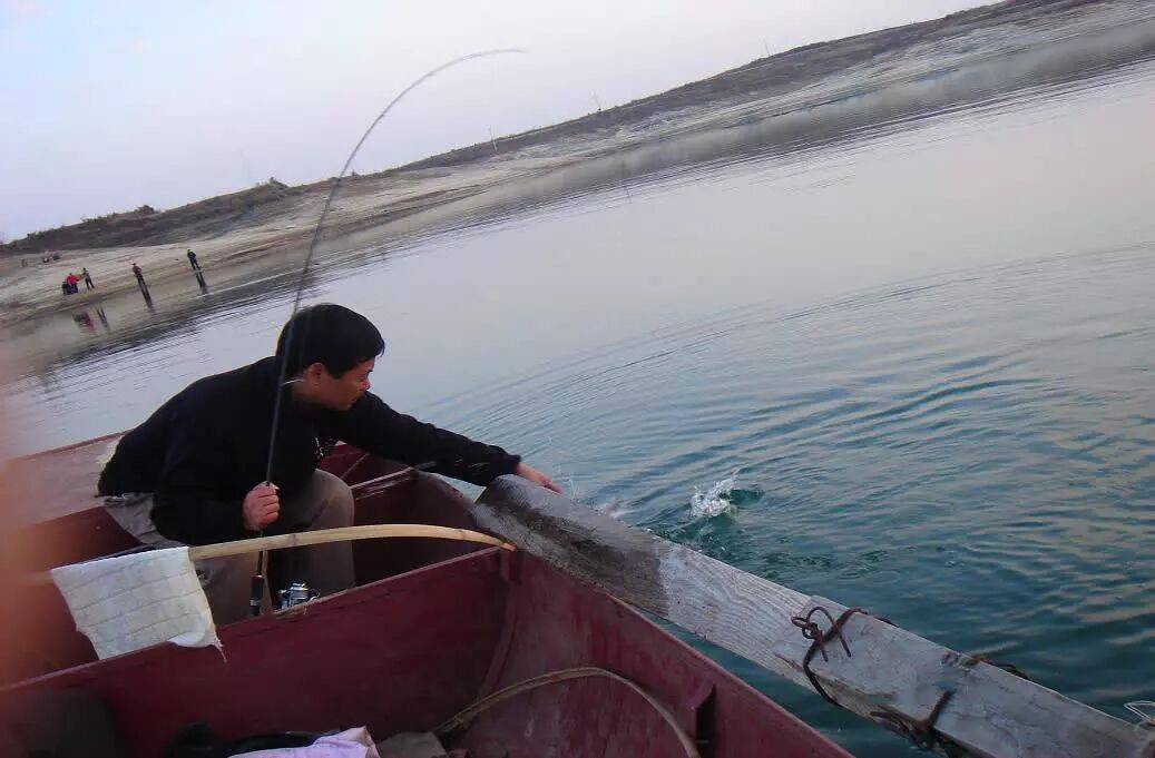 海南冬天路亚(海南常见的路亚鱼种)