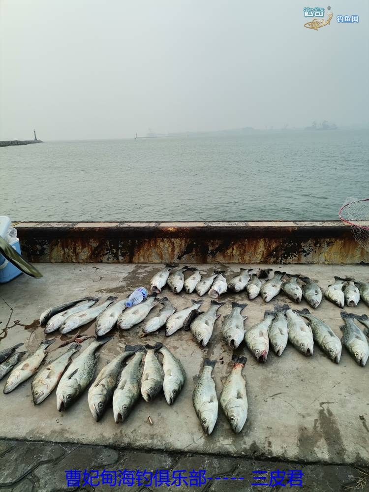 3月曹妃甸海钓(曹妃甸野钓)