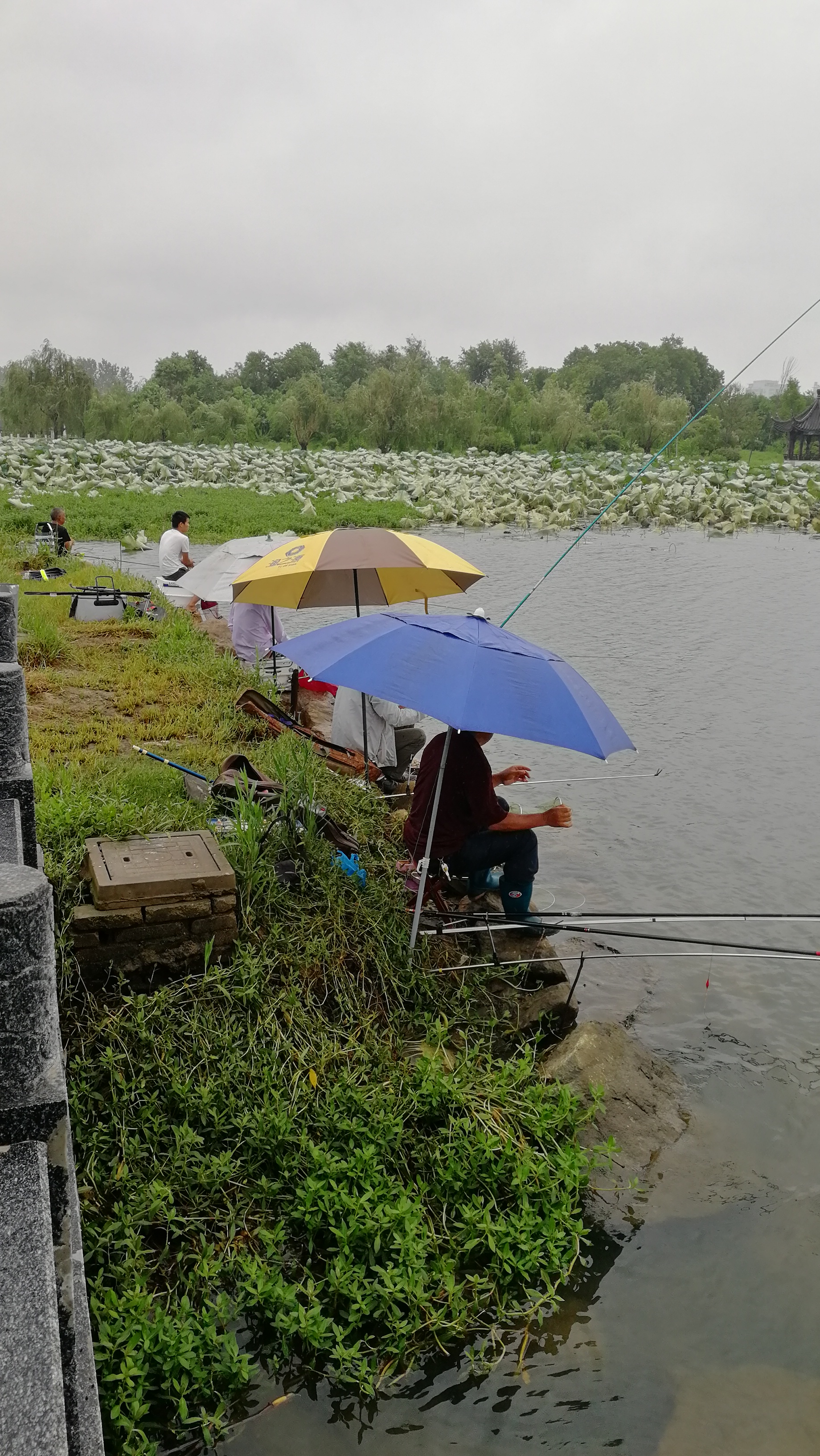 初春野河技巧(初春小河野钓)