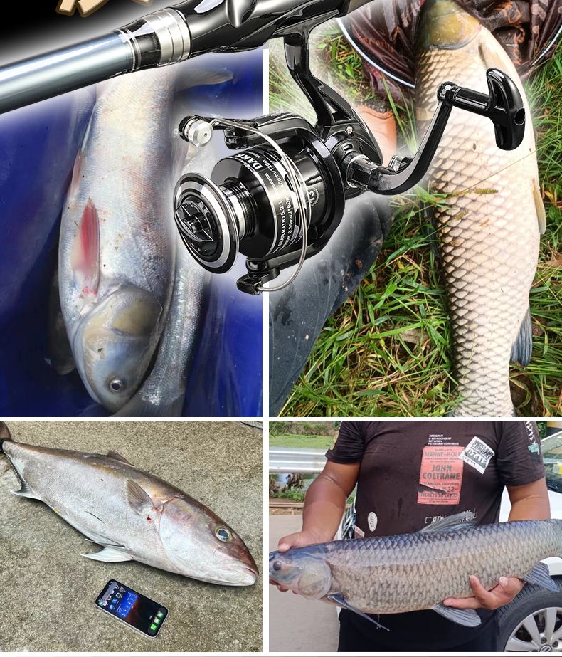 海钓的必备品(海钓用品有什么牌子好)