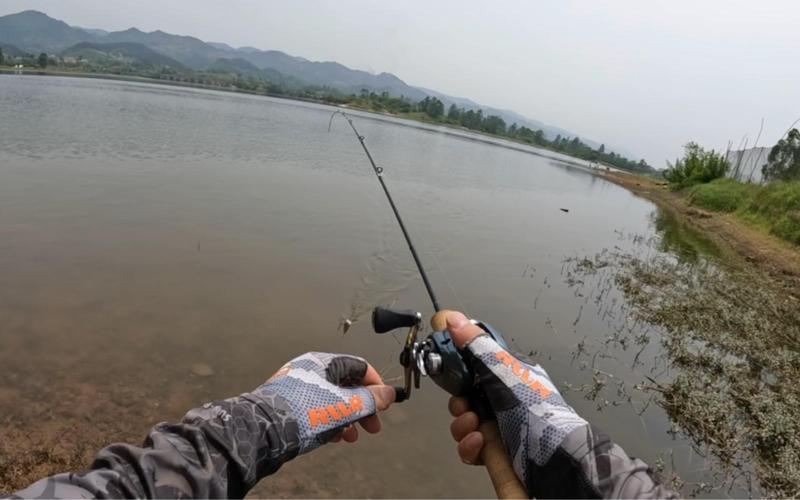 河流打路亚(路亚在大河里用什么饵比较好)