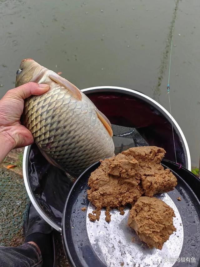 阴天饵料不怎么开口(阴天钓鱼用什么饵好钓) 阴天饵料不怎么开口(阴天钓鱼用什么饵好钓)