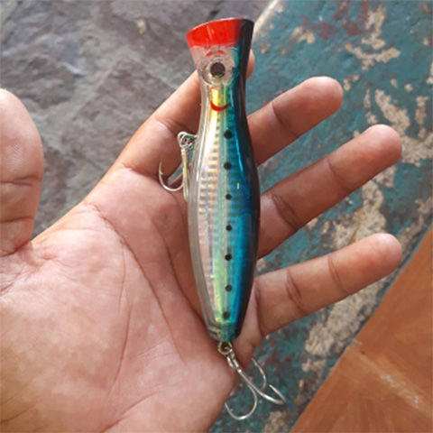 海钓波趴视频(海钓波爬)