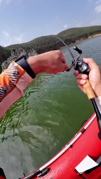 路亚青稍手法(路亚青稍用什么饵最好) 路亚青稍手法(路亚青稍用什么饵最好)