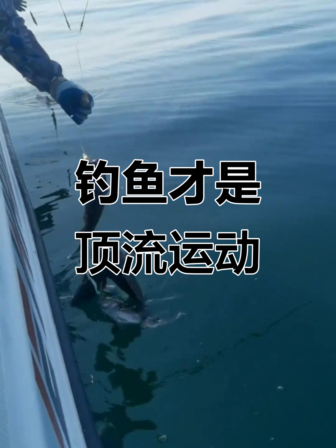 海钓黑头几月(海钓黑头用什么饵料好钓) 海钓黑头几月(海钓黑头用什么饵料好钓)