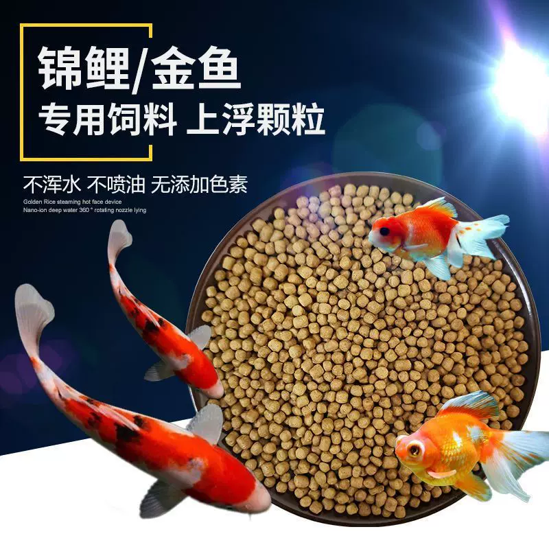 钓金鱼自己做饵料(钓金鱼自己做饵料可以吗)