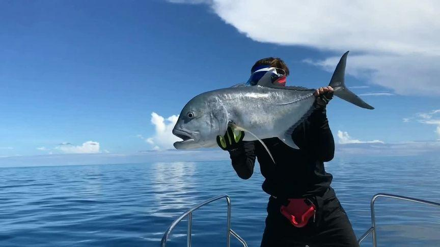 怎样海钓GT(怎样海钓鲈鱼技巧)