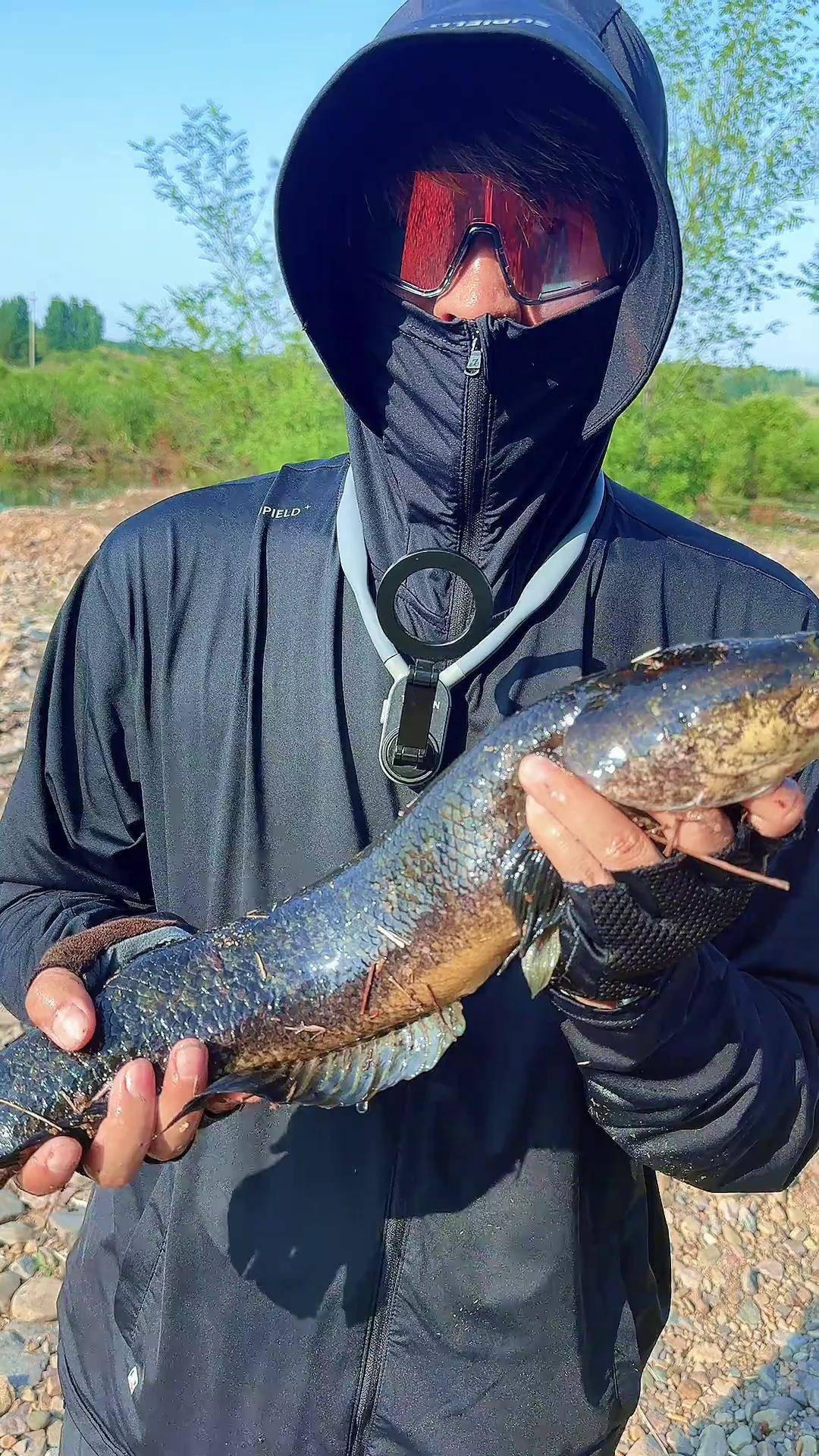 路亚杆钓黑鱼(路亚杆钓黑鱼用什么硬度最好)