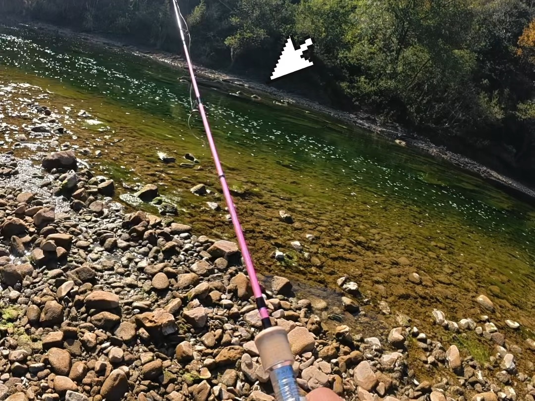 路亚钓不到鱼(我的路亚为什么钓不到鱼)