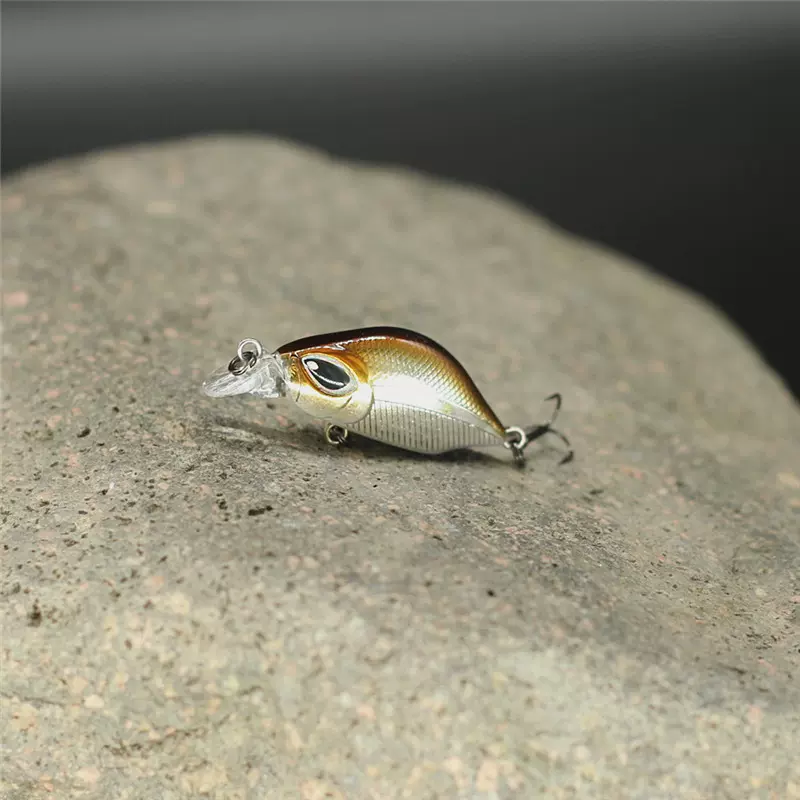 路亚可以鳊鱼吗(路亚可以钓鲮鱼吗)