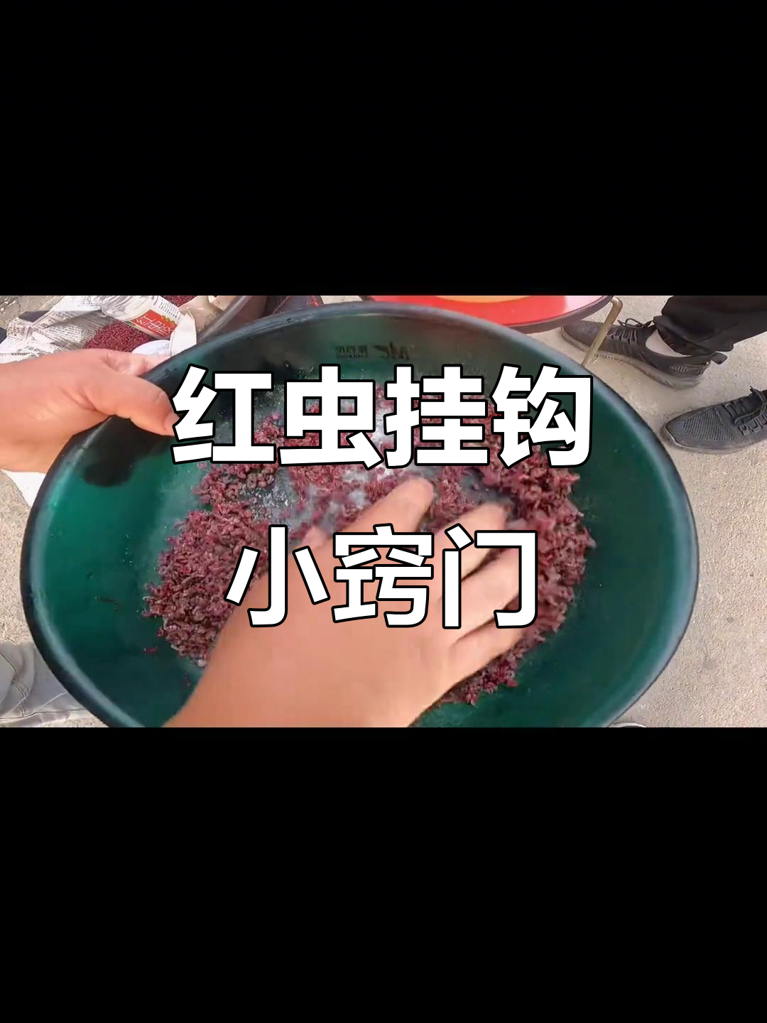 用活红虫钓鱼技巧(红虫活饵怎么消毒)