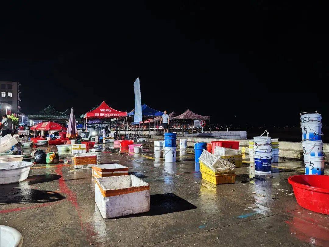 湛江海钓群(湛江哪里可以海钓钓鱼的地方)