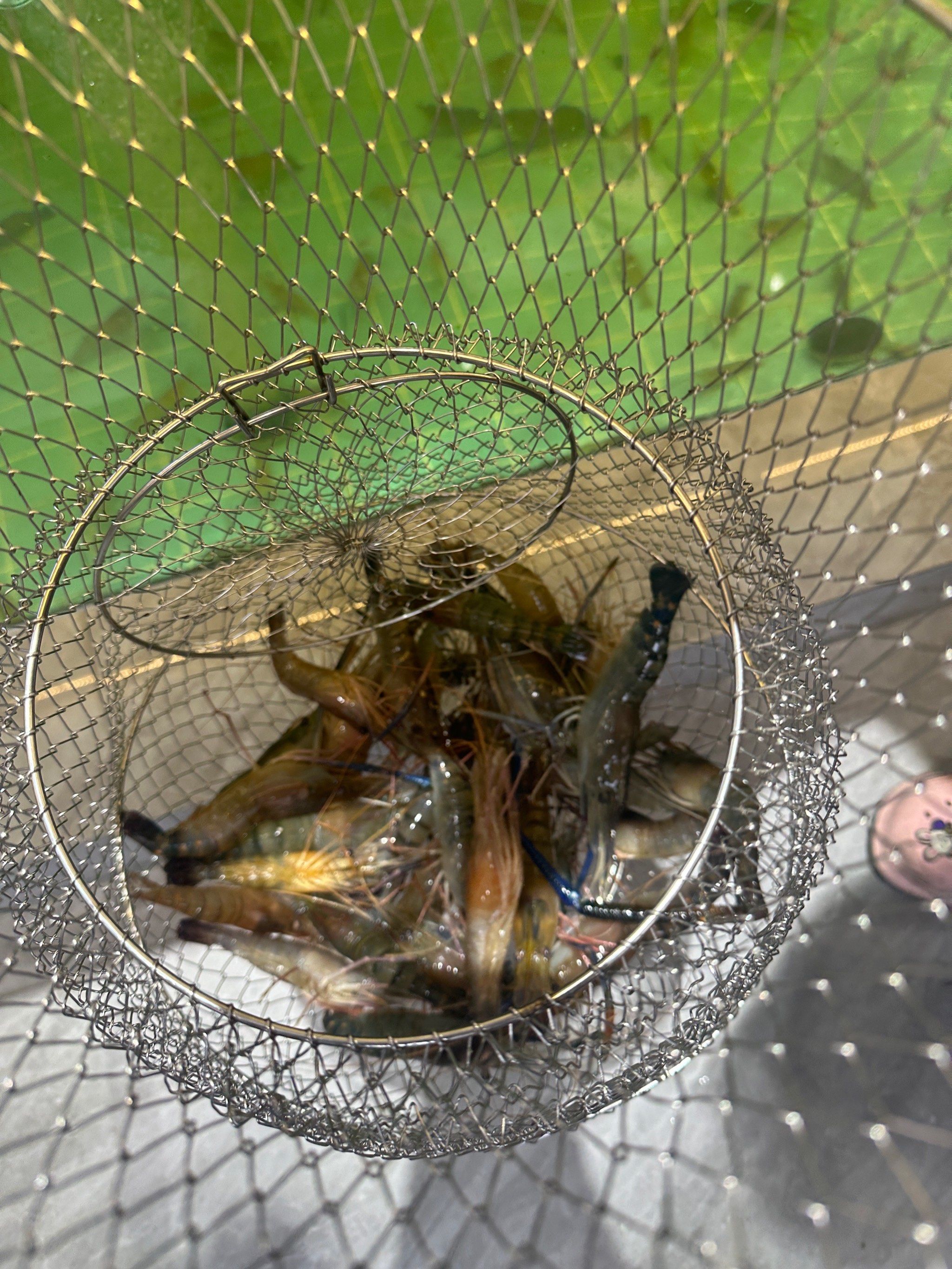 湛江海钓群(湛江哪里可以海钓钓鱼的地方)