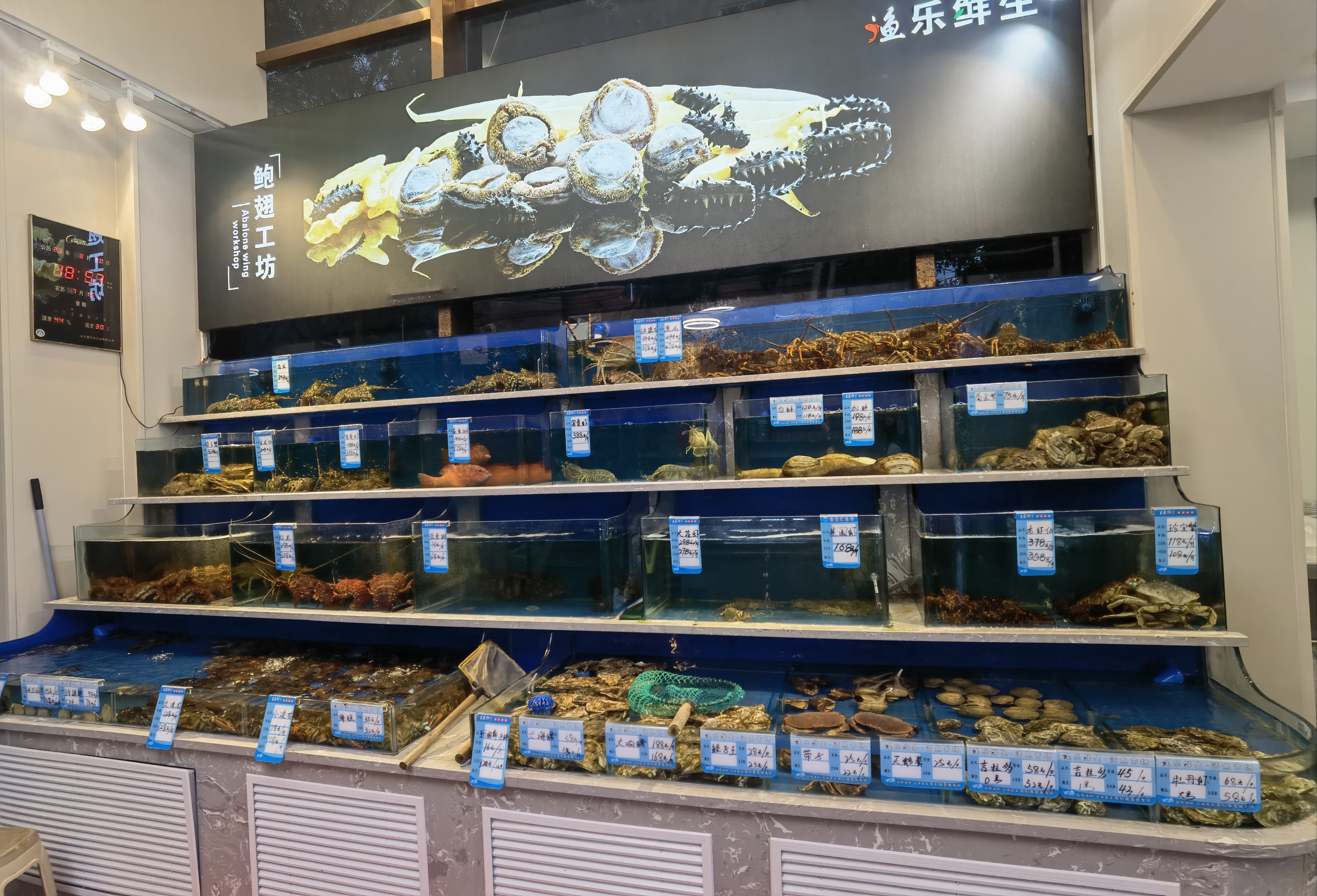 恩施渔具批发店(1688货源网批发网) 恩施渔具批发店(1688货源网批发网)