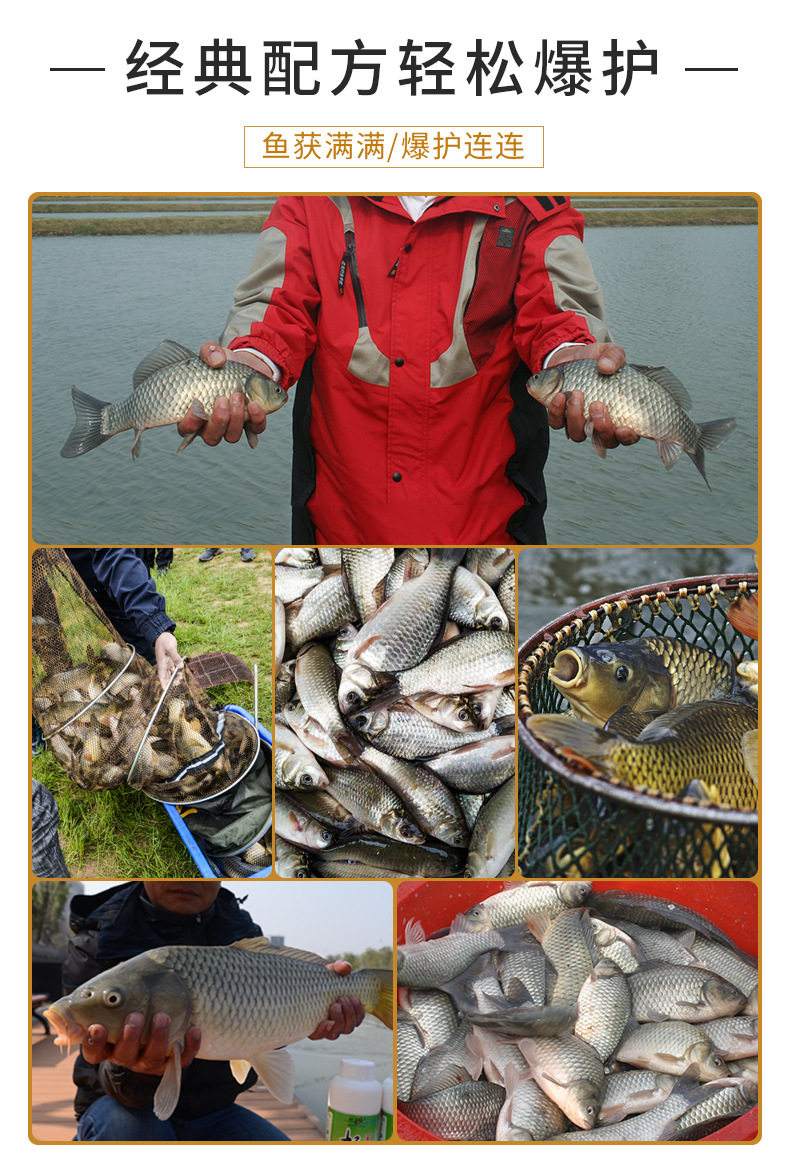 918麸香饵料搭配(918麸香饵料搭配什么好)