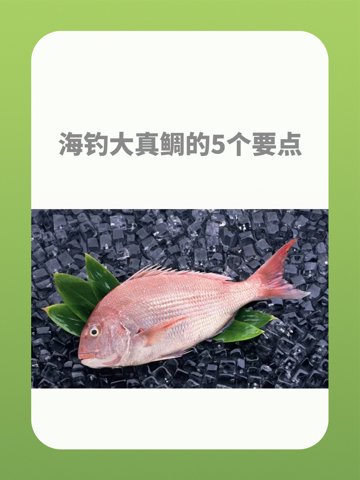 海钓怎样勾鱼料(海钓怎么弄) 海钓怎样勾鱼料(海钓怎么弄)