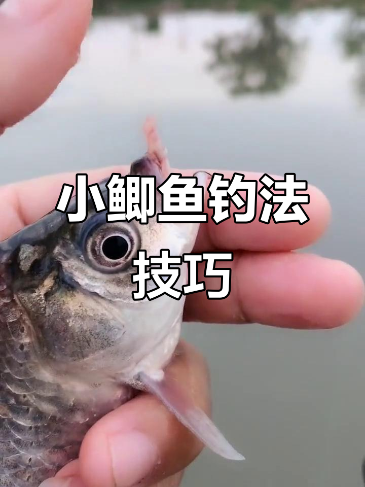 提竿收线上鱼技巧(钓鱼提杆手法) 提竿收线上鱼技巧(钓鱼提杆手法)