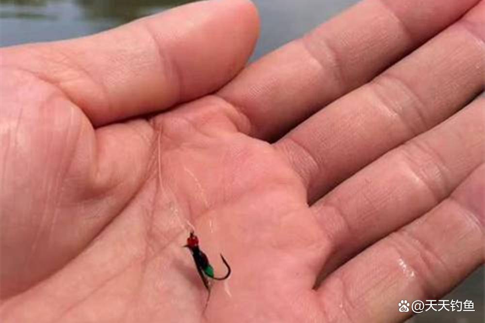 手竿钓翘嘴的技巧(手竿翘嘴怎么钓视频教程)