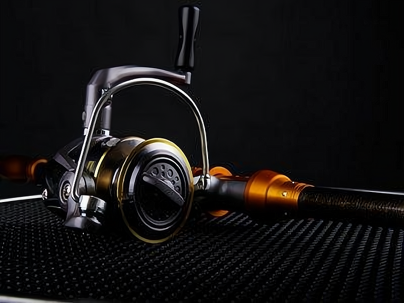 海口最好的渔具店(海口最好的渔具店在哪里)