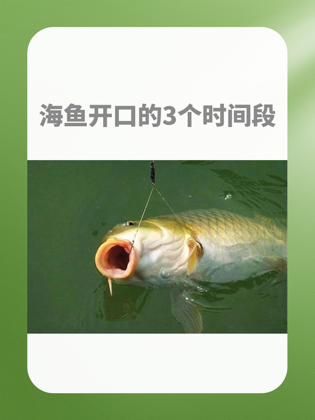 广东适合海钓的时间(广东哪里可以海钓鱼的地方)