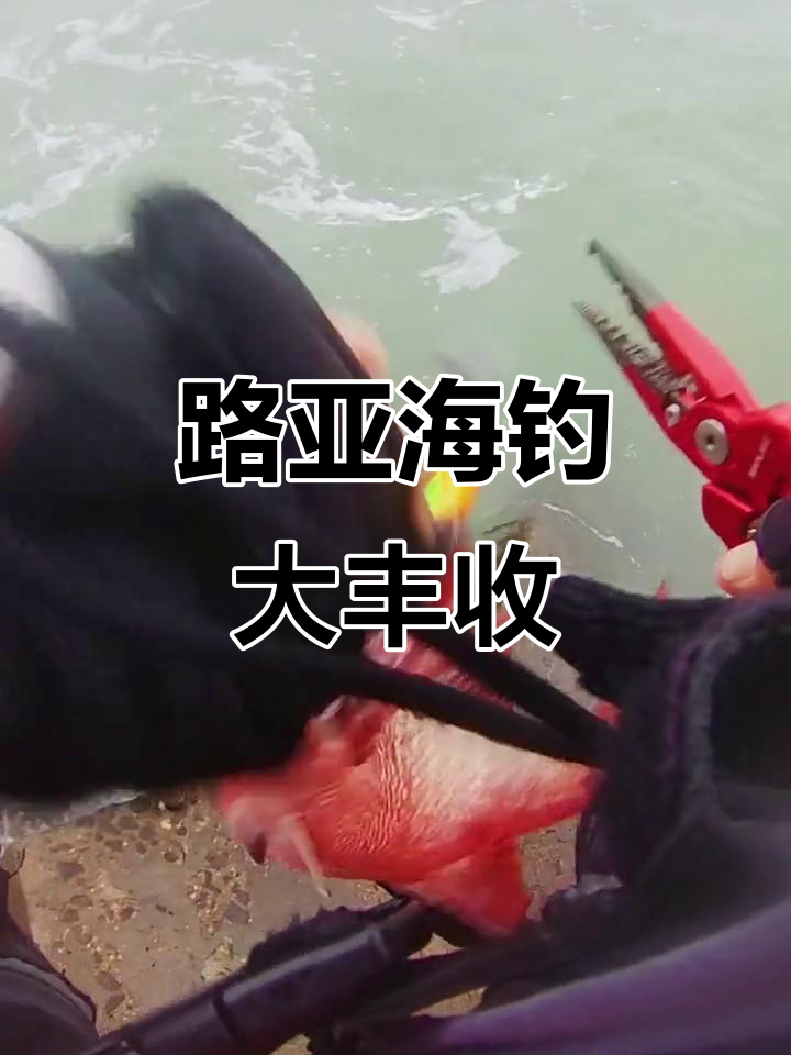 海钓路亚长(海钓路亚竿长度推荐)