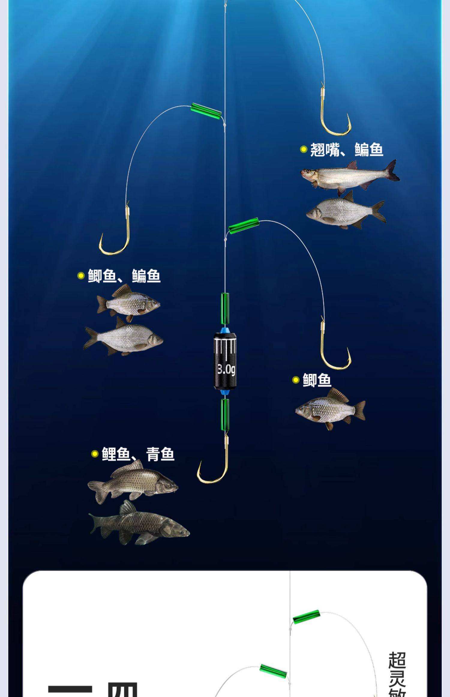 海钓用几个钩(海钓用几个钩合适) 海钓用几个钩(海钓用几个钩合适)
