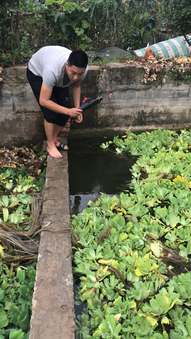 空手抓鱼技巧(空手抓鱼有什么迷信说法)