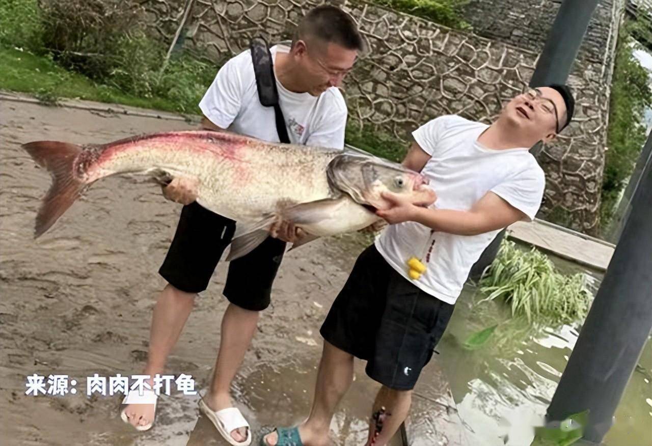 湖北罗田路亚(为什么钓场禁止路亚)