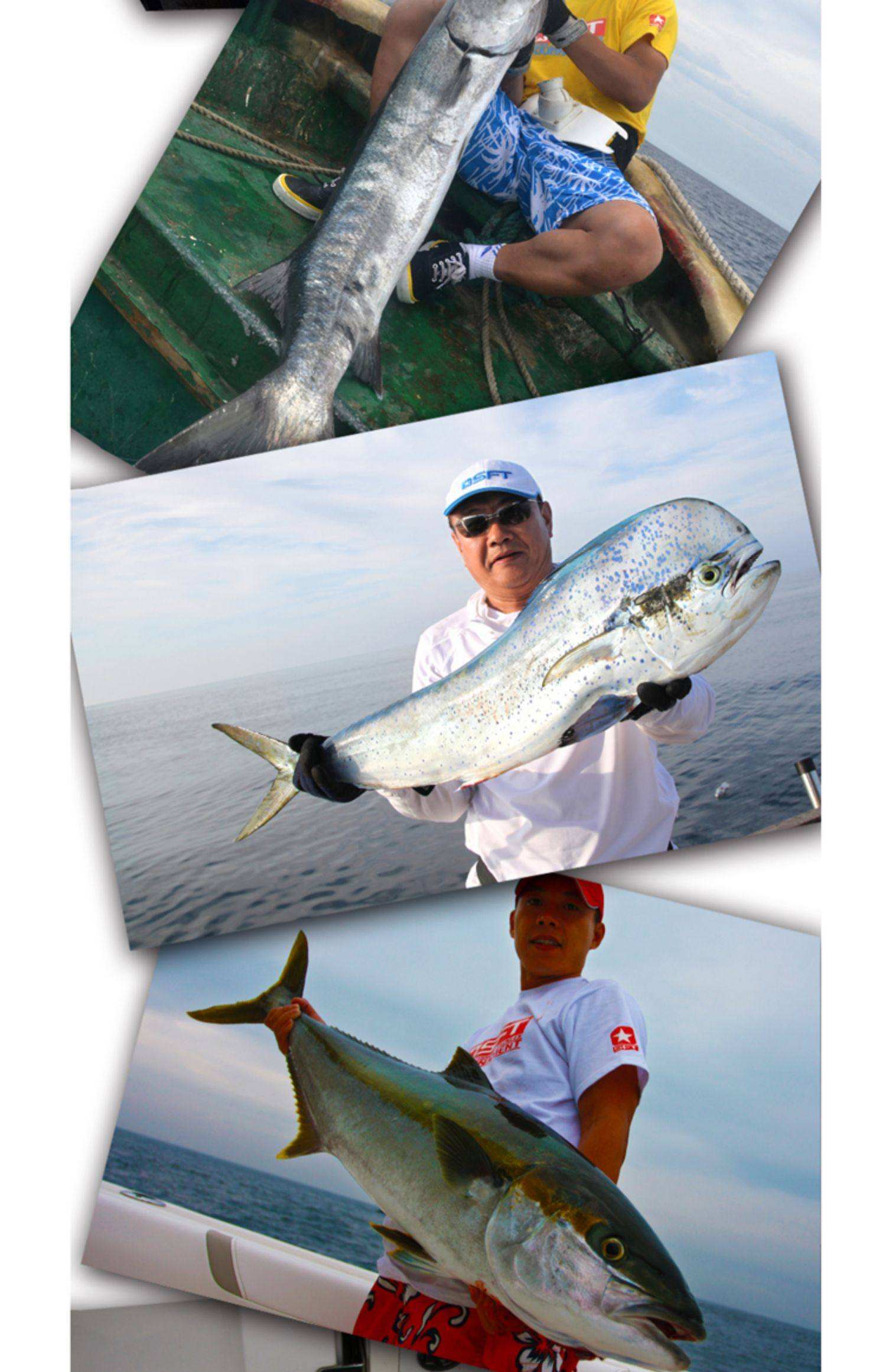 什么饵料适合海钓(什么饵料适合海钓鲫鱼) 什么饵料适合海钓(什么饵料适合海钓鲫鱼)