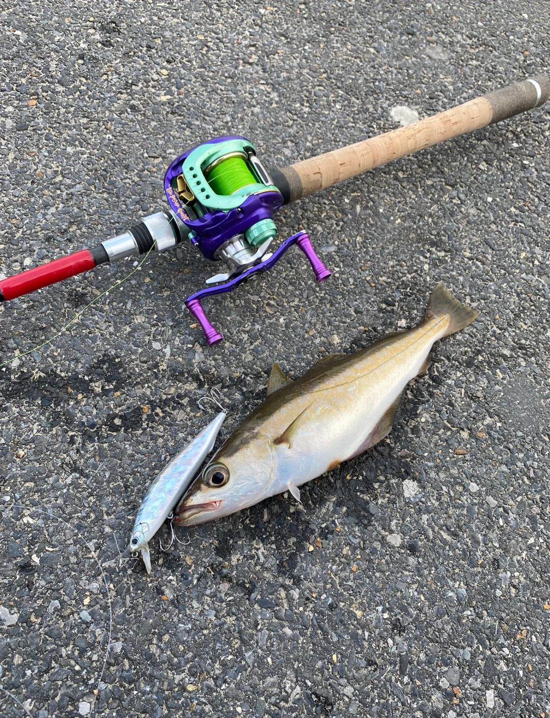 英国东海岸海钓(英国海岸景点)