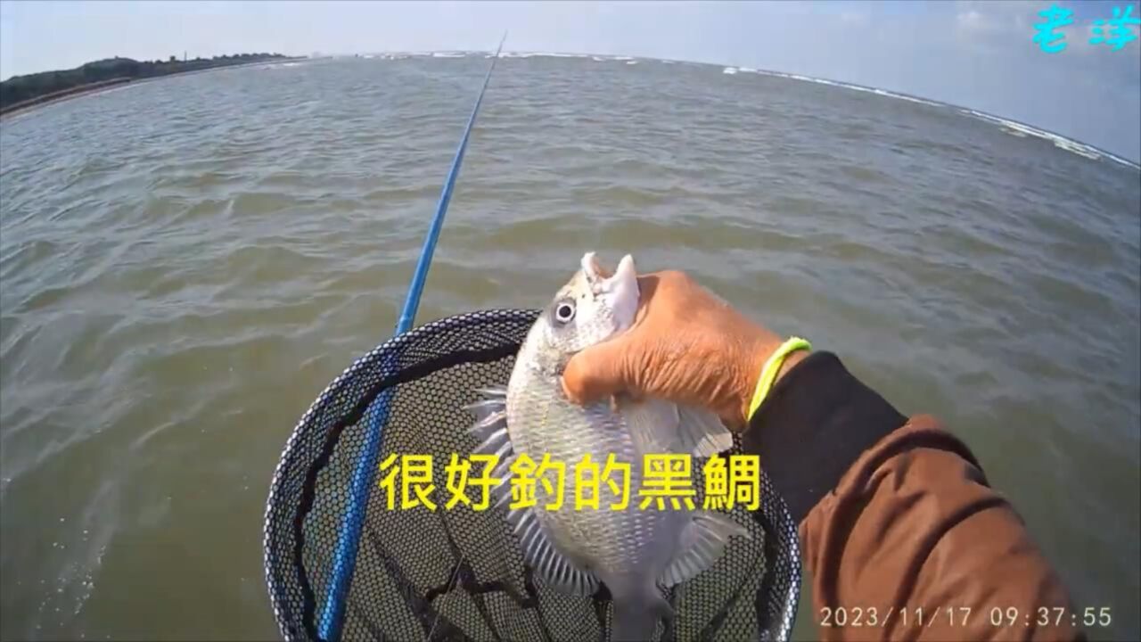 海钓黑鲷钓位(海边钓黑鲷一般用几号钩)
