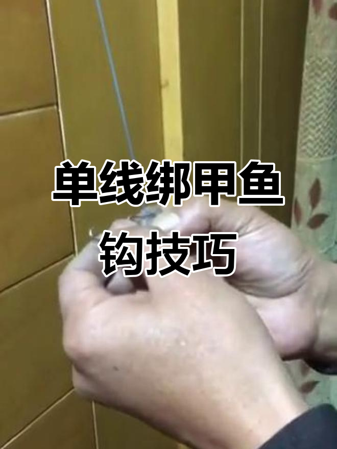 野钓甲鱼技巧(钓甲鱼诀窍)