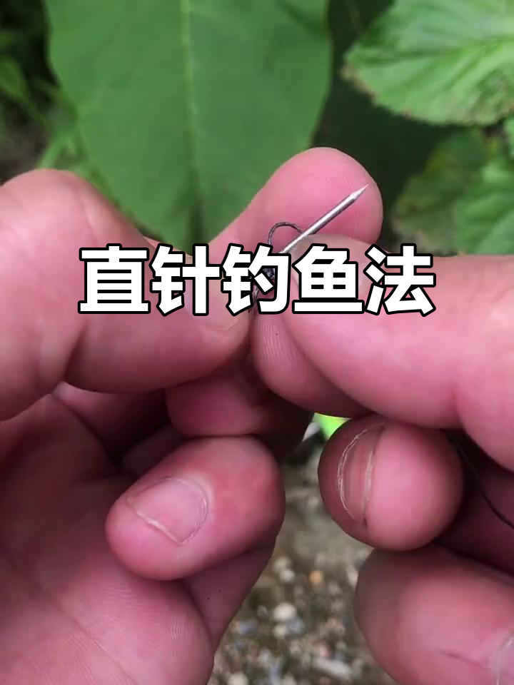 野钓甲鱼技巧(钓甲鱼诀窍)