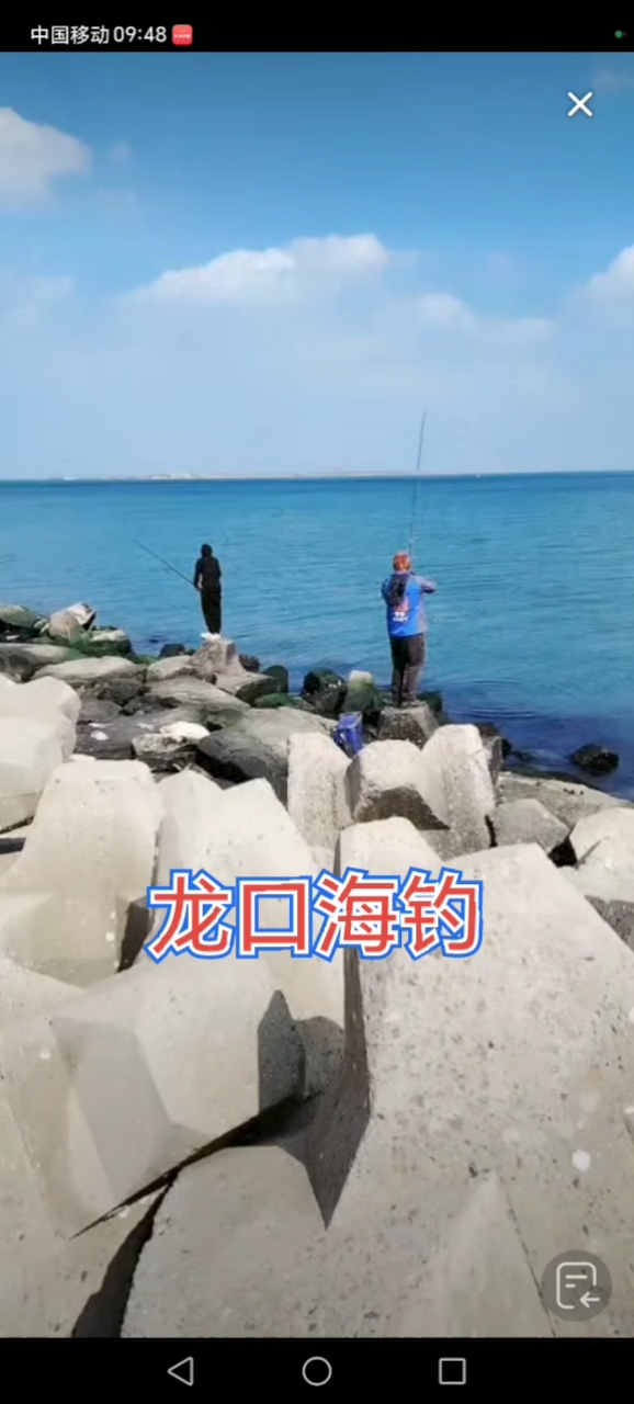 渤海龙口海钓(山东龙口海钓钓点)