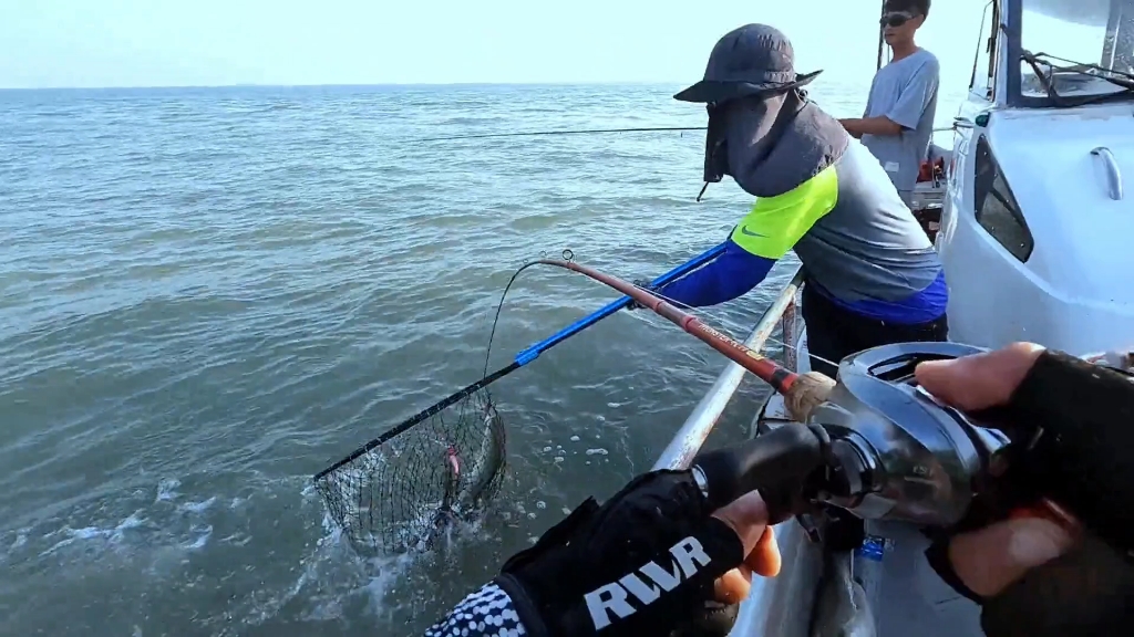 渤海龙口海钓(山东龙口海钓钓点)